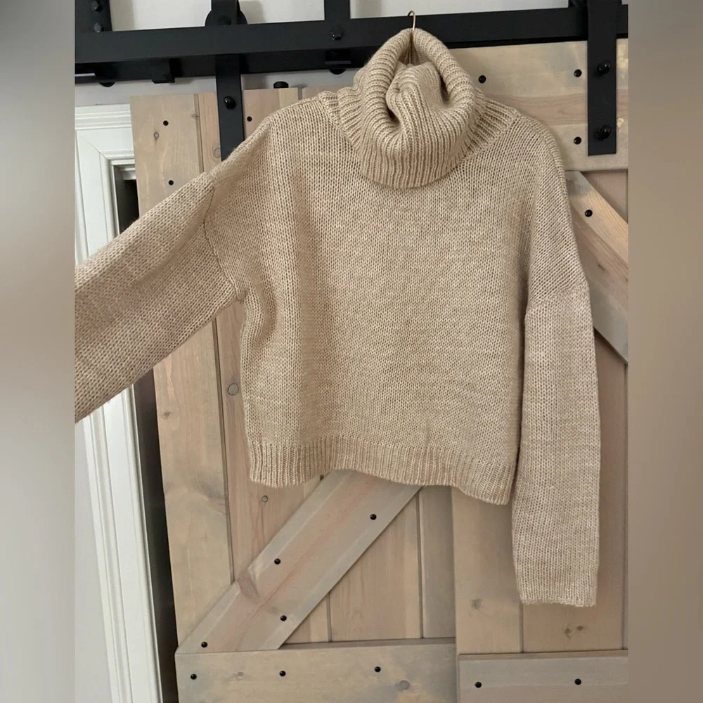 Vici Back Cut Out Turtleneck Sweater